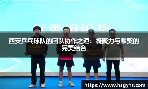 永盈会平台